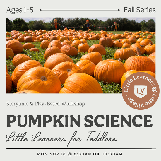 Little Learners Class: Pumpkin Science  🎃